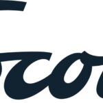 Scout-Script-Moonstone